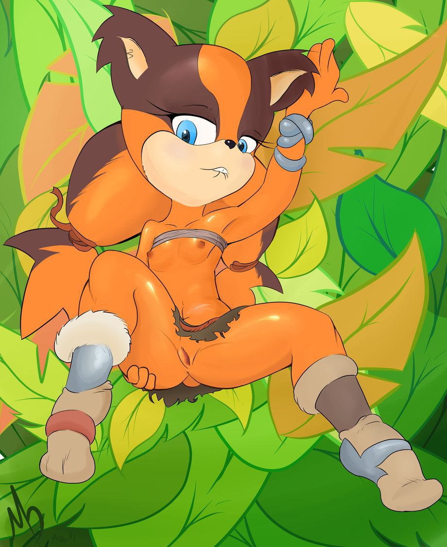 Sonic Boom Gallery 106