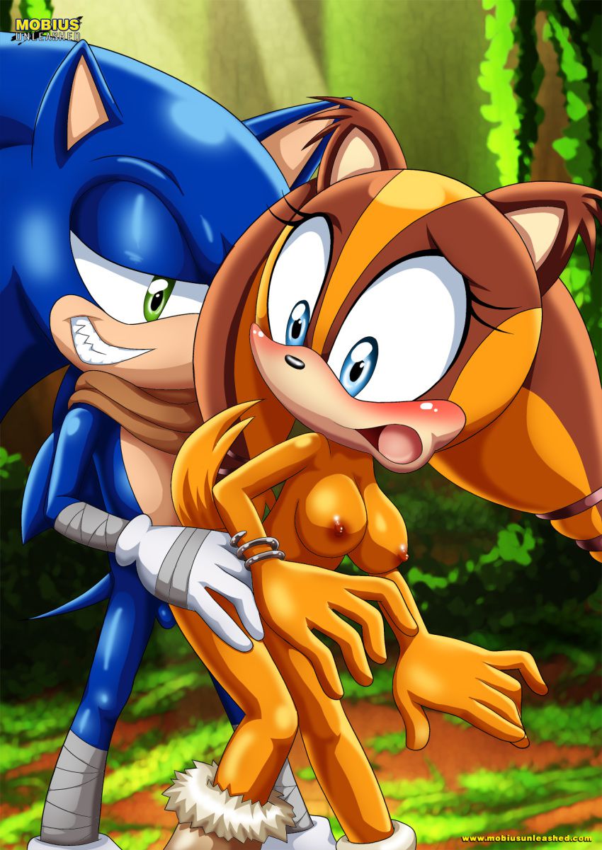 Sonic Boom Gallery 471