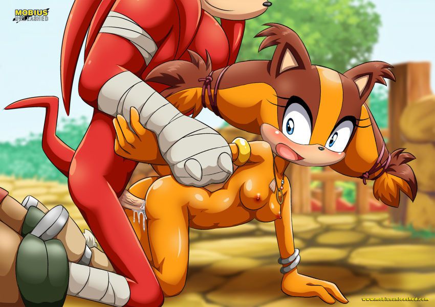 Sonic Boom Gallery 473