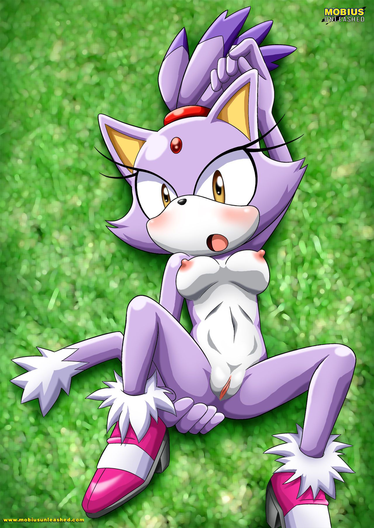 Mobius Unleashed: Blaze the Cat 1