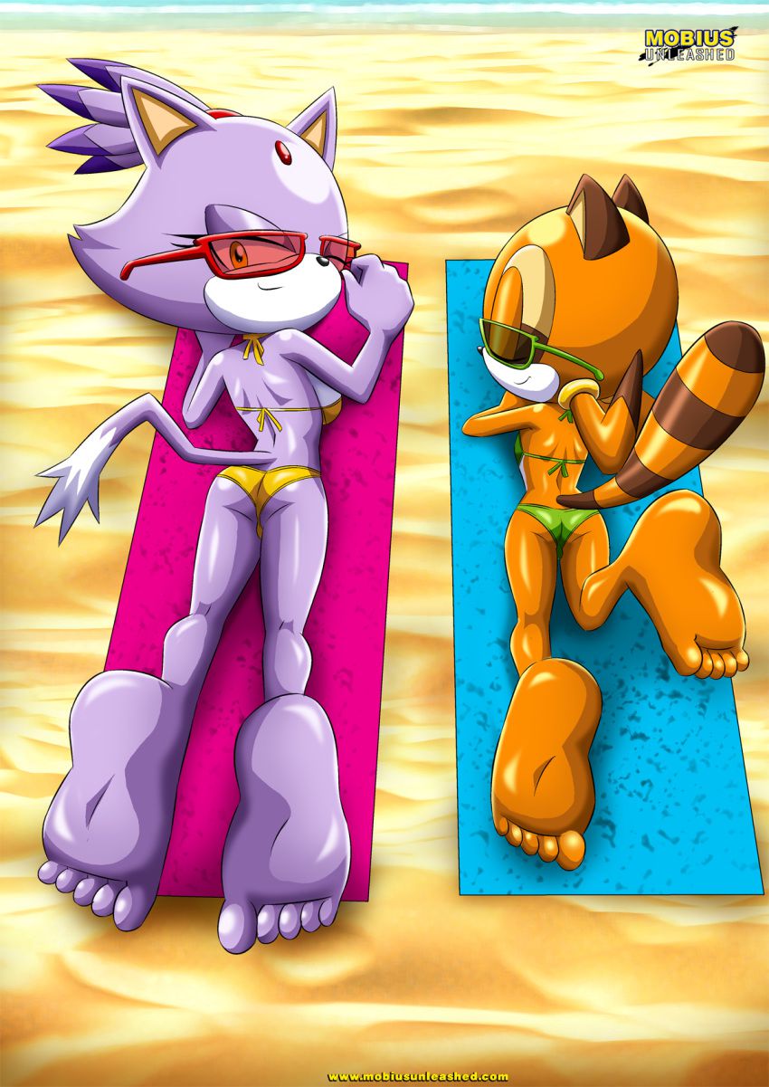 Mobius Unleashed: Blaze the Cat 102