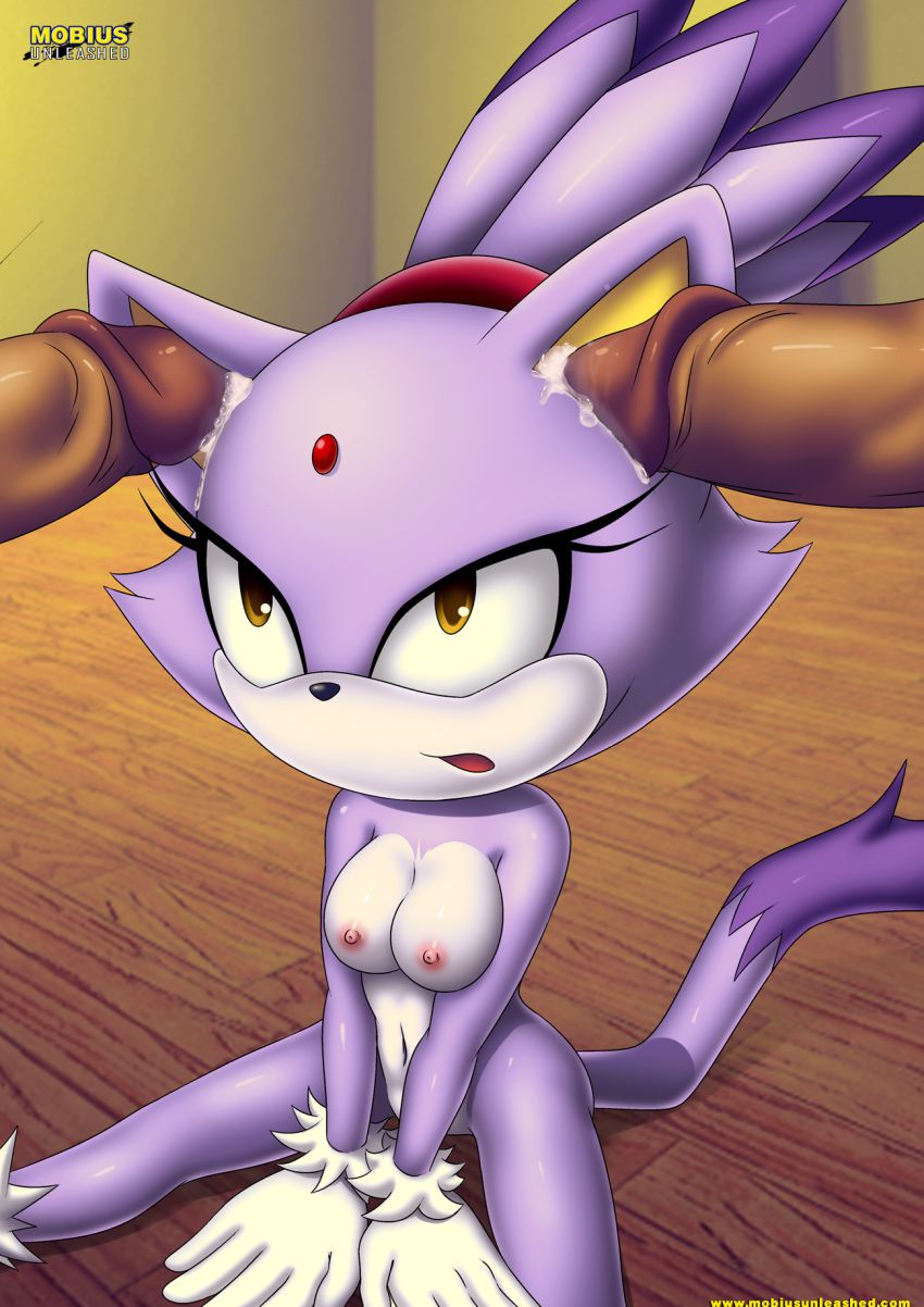 Mobius Unleashed: Blaze the Cat 151