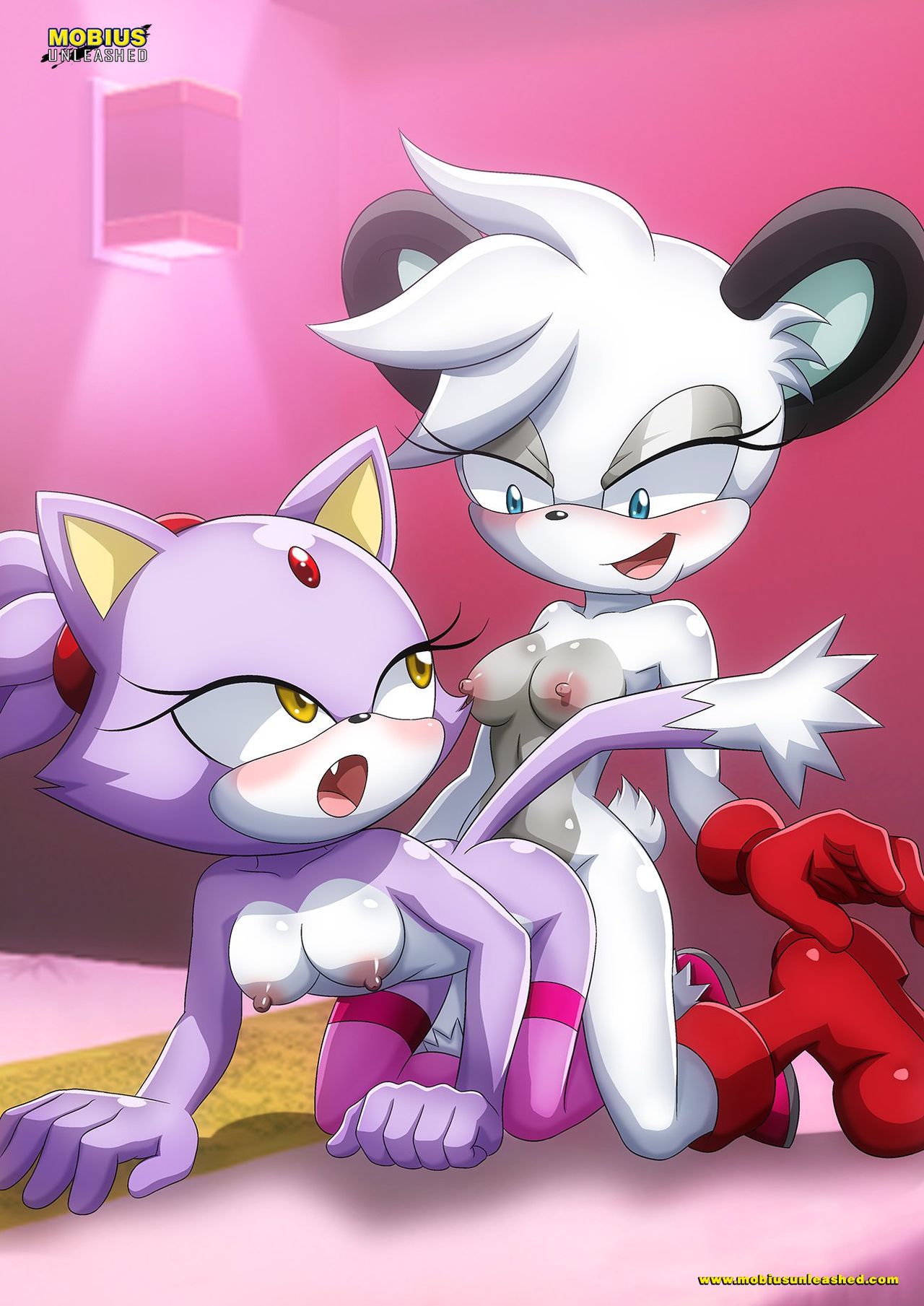 Mobius Unleashed: Blaze the Cat 19