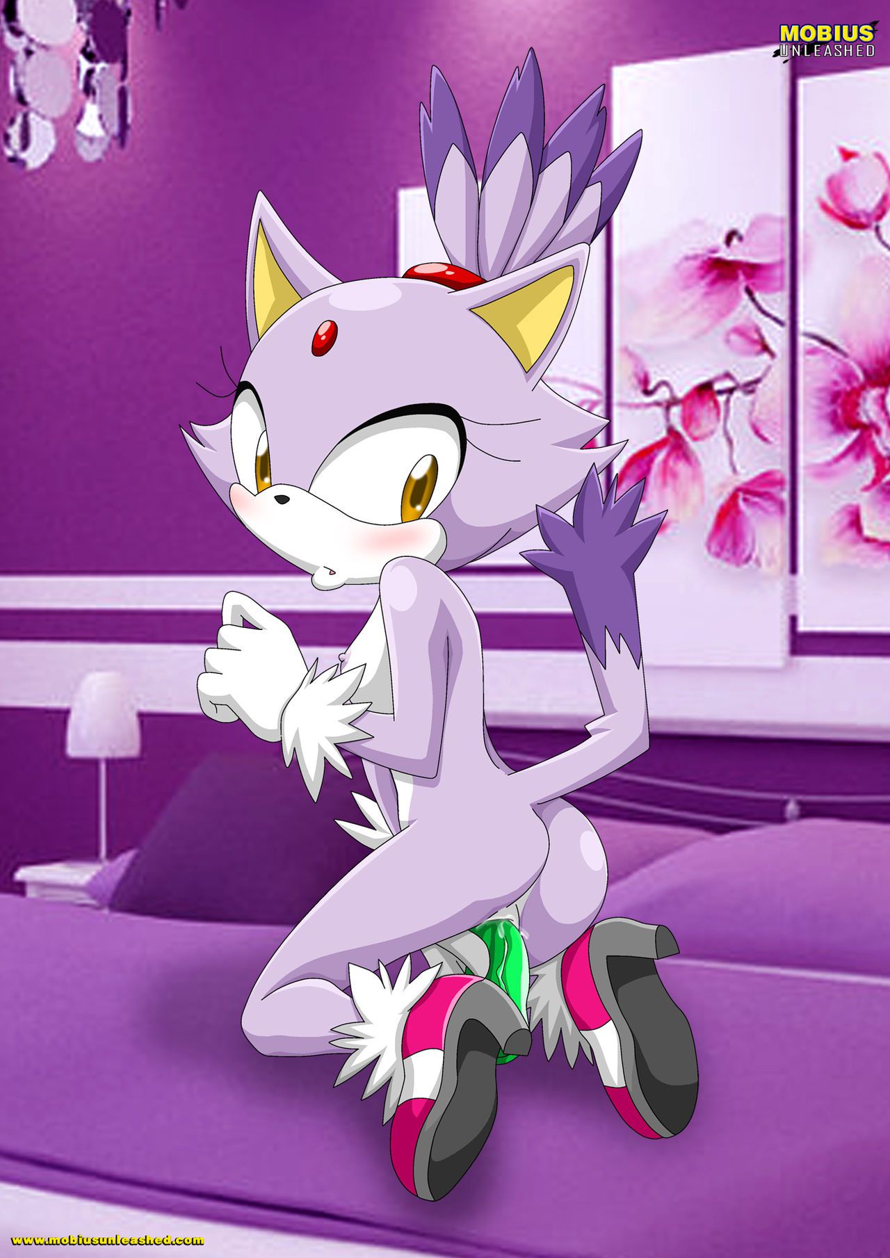 Mobius Unleashed: Blaze the Cat 58