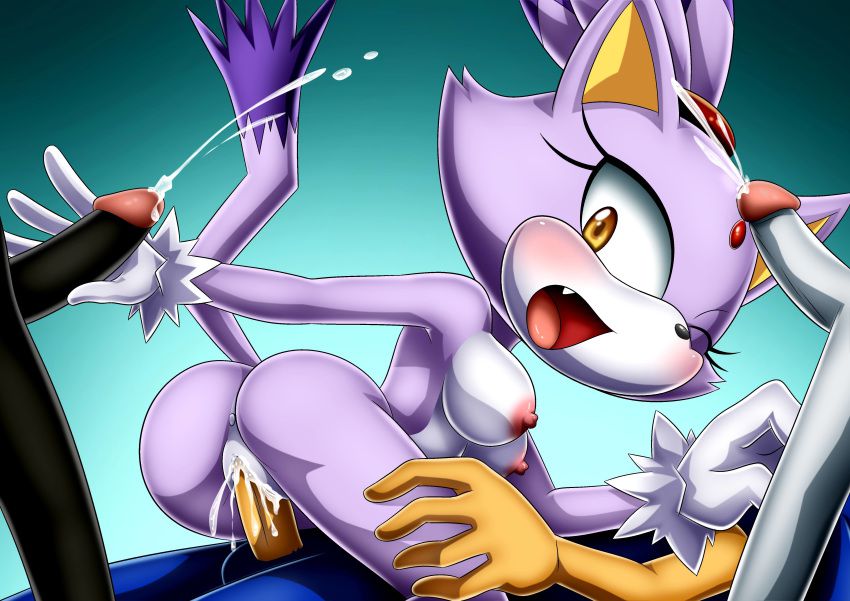 Mobius Unleashed: Blaze the Cat 74