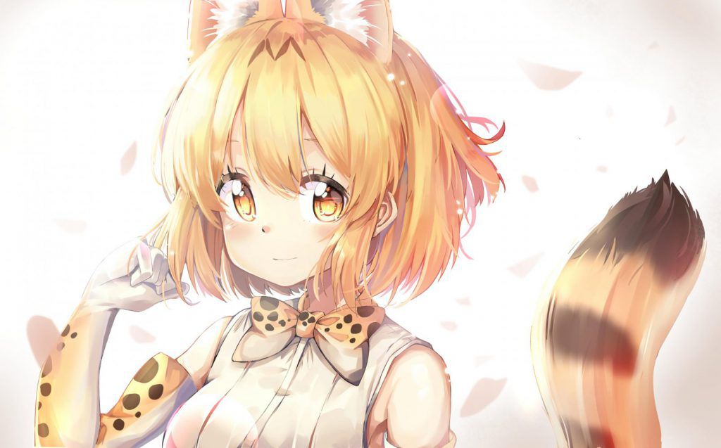 Please take an image of Kemono Friends. 17