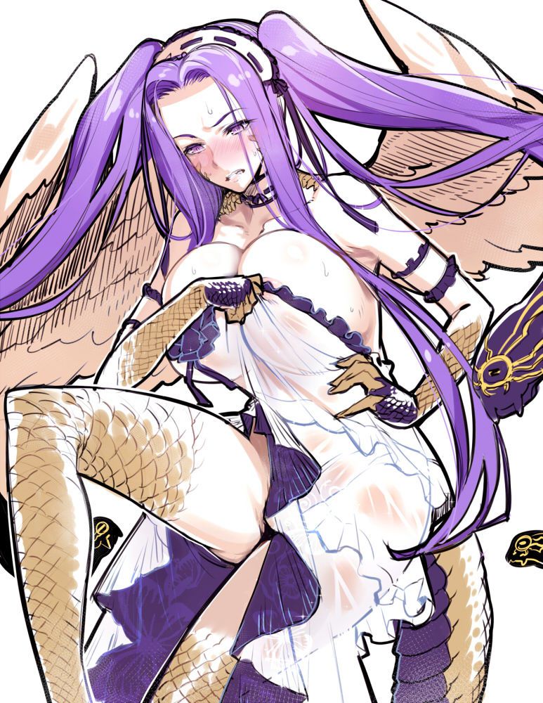 Rider (FateGrand Order)-Collection 110