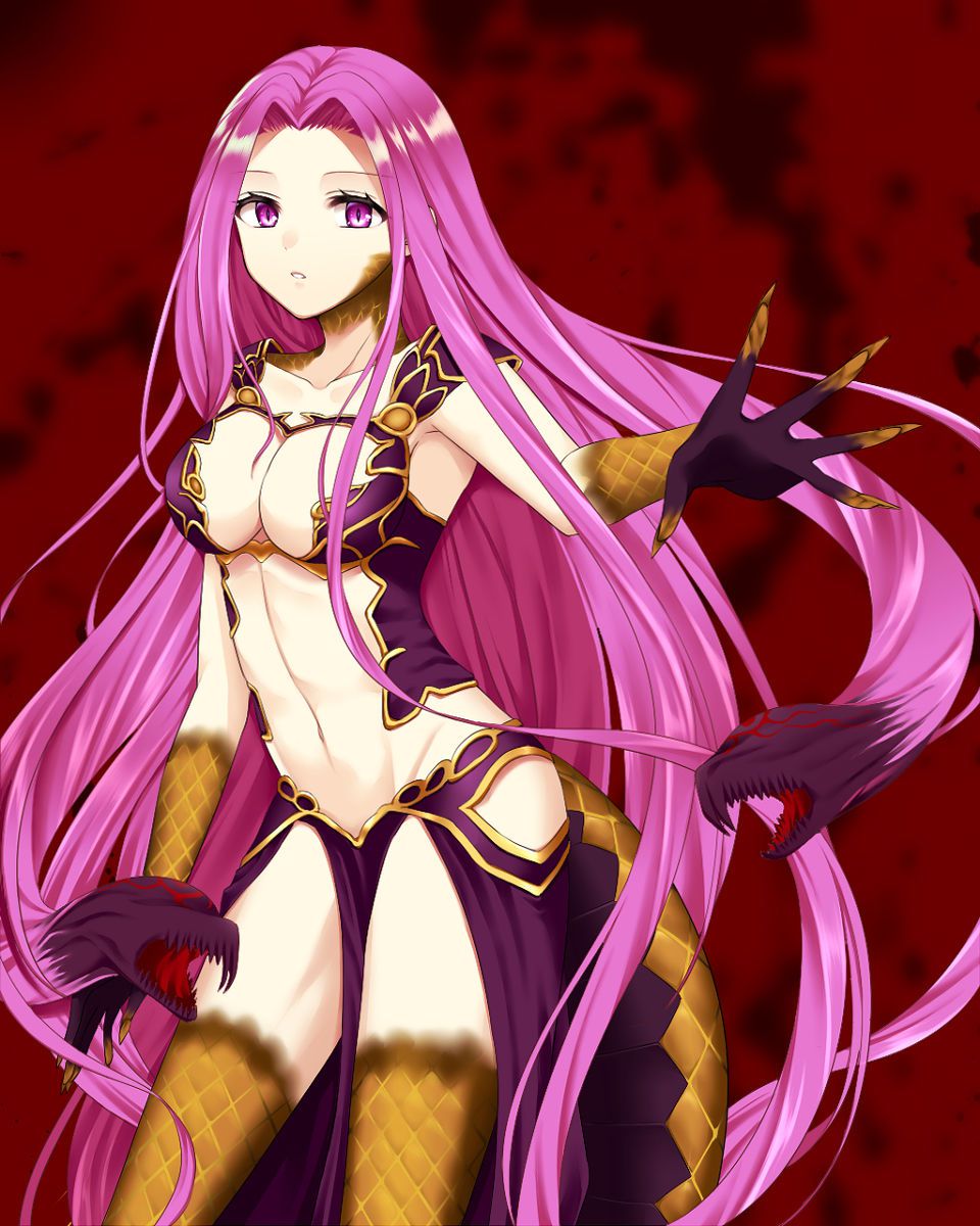 Rider (FateGrand Order)-Collection 248