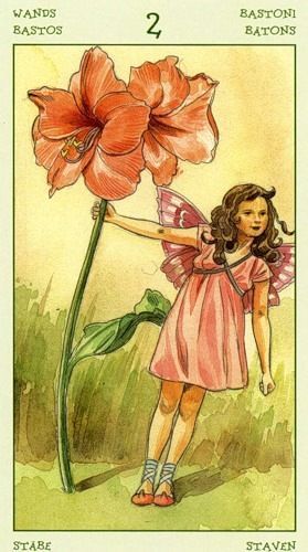 [Antonella Castelli, Laura Tuan] Spirit of Flowers Tarot 28