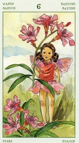 [Antonella Castelli, Laura Tuan] Spirit of Flowers Tarot 32