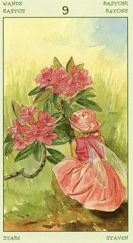 [Antonella Castelli, Laura Tuan] Spirit of Flowers Tarot 35