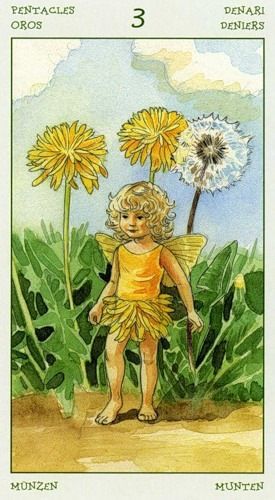 [Antonella Castelli, Laura Tuan] Spirit of Flowers Tarot 43