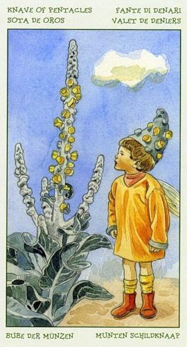 [Antonella Castelli, Laura Tuan] Spirit of Flowers Tarot 51