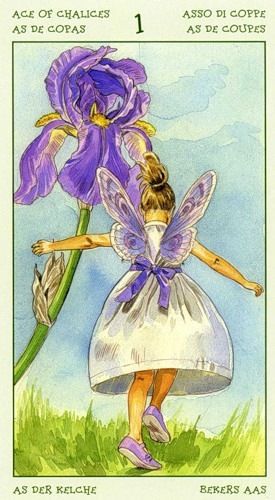 [Antonella Castelli, Laura Tuan] Spirit of Flowers Tarot 55