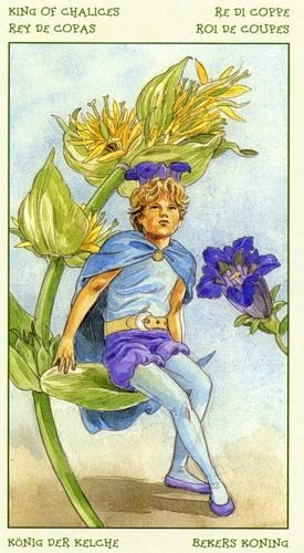 [Antonella Castelli, Laura Tuan] Spirit of Flowers Tarot 68