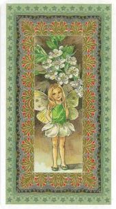 [Antonella Castelli, Laura Tuan] Spirit of Flowers Tarot 84
