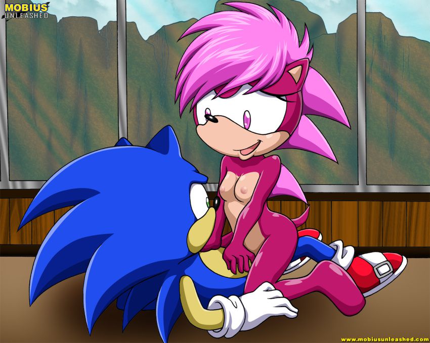 Sonic Incest Gallery 23