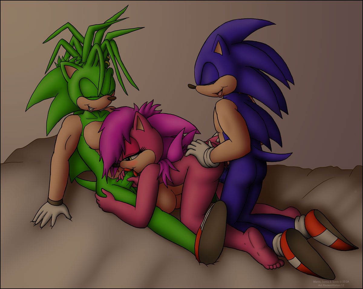 Sonic Incest Gallery 41