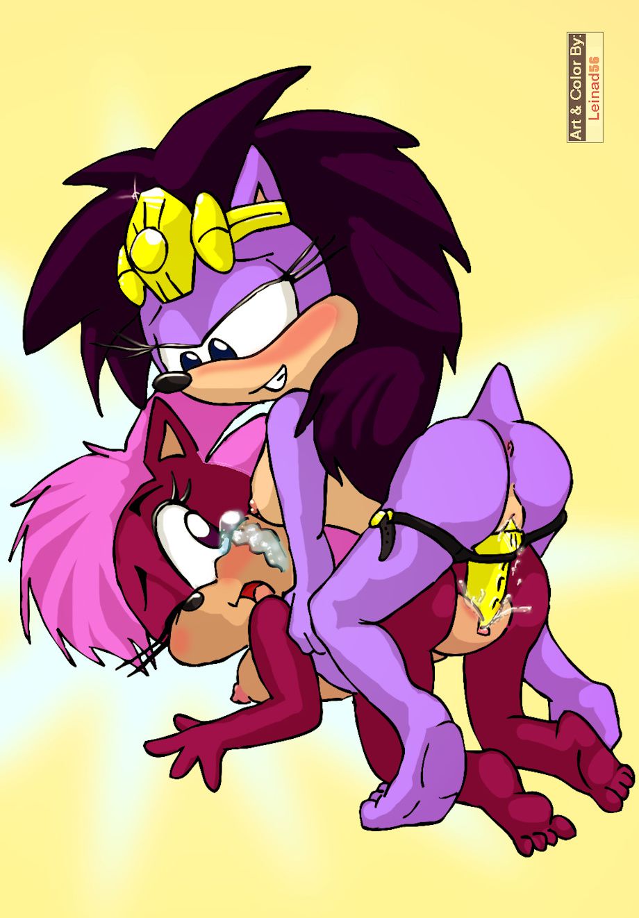 Sonic Incest Gallery 49