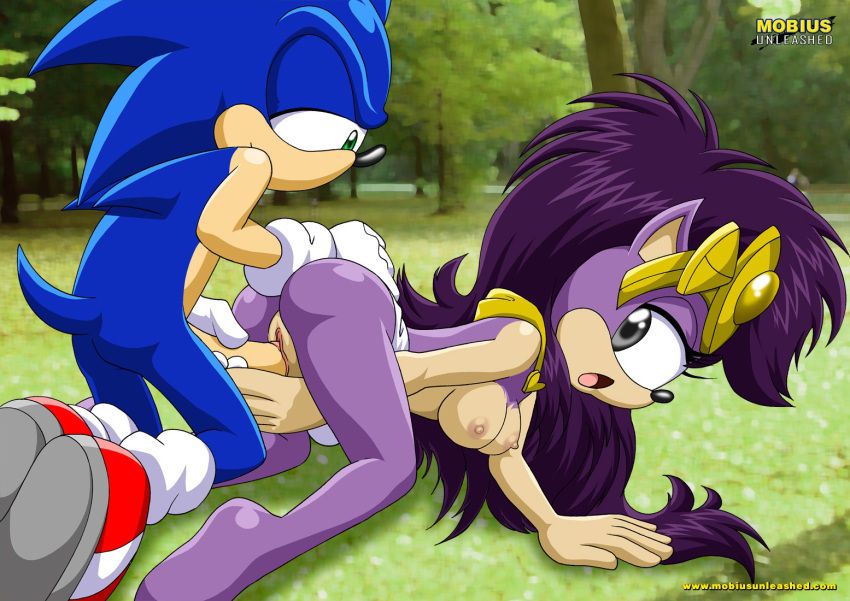 Sonic Incest Gallery 68