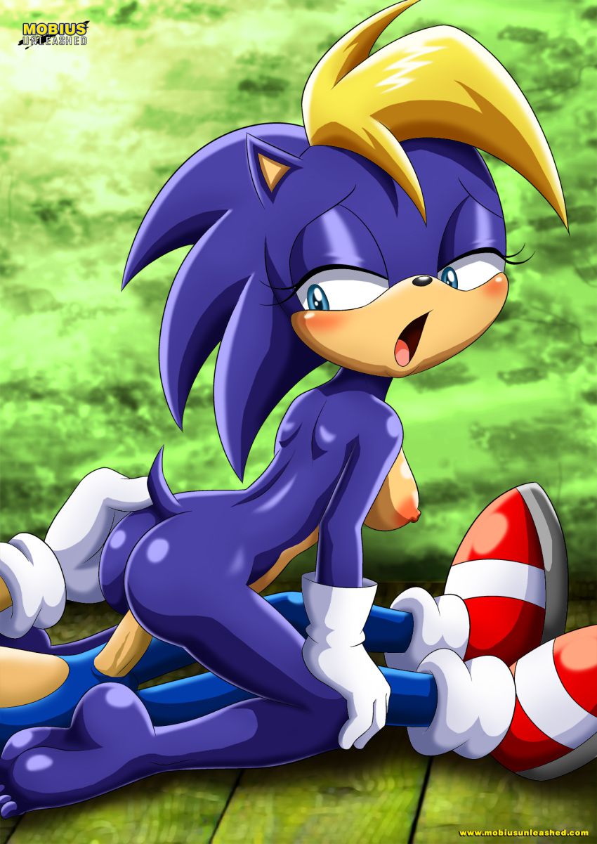 Sonic Incest Gallery 79