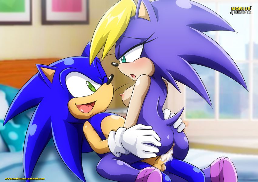 Sonic Incest Gallery 85