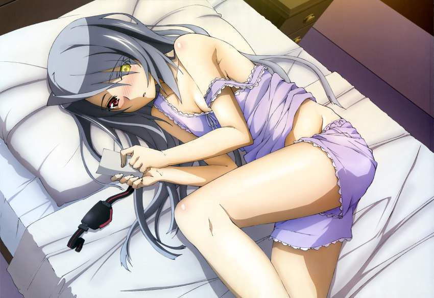 Infinite Stratos erotic &amp; moe image summary! 10