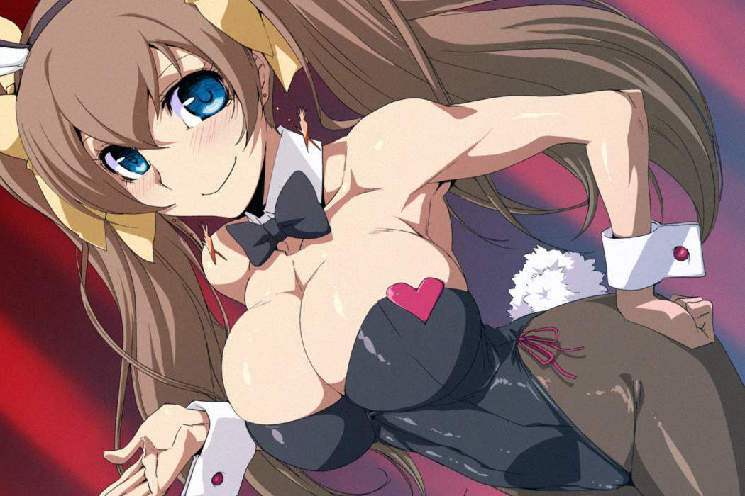 Infinite Stratos erotic &amp; moe image summary! 2