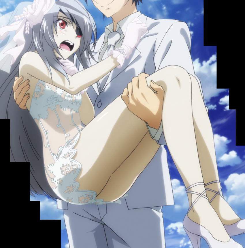 Infinite Stratos erotic &amp; moe image summary! 9