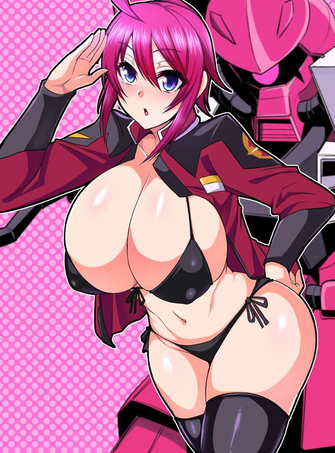 Up the erotic image of Mobile Suit Gundam SEED! 5