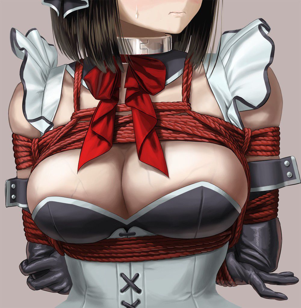 Erotic image of the two-dimensional maid who seems to happen rather another place unevenly if it is woken up in the morning by such a maid 20