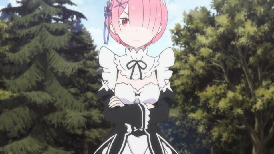 [Yabakhara appearance] [Re: different world life 2 phase starting from zero] 28 episodes impression, greedy witch Echidna cute too moe www continuation is too worrisome www (Rezero) 10