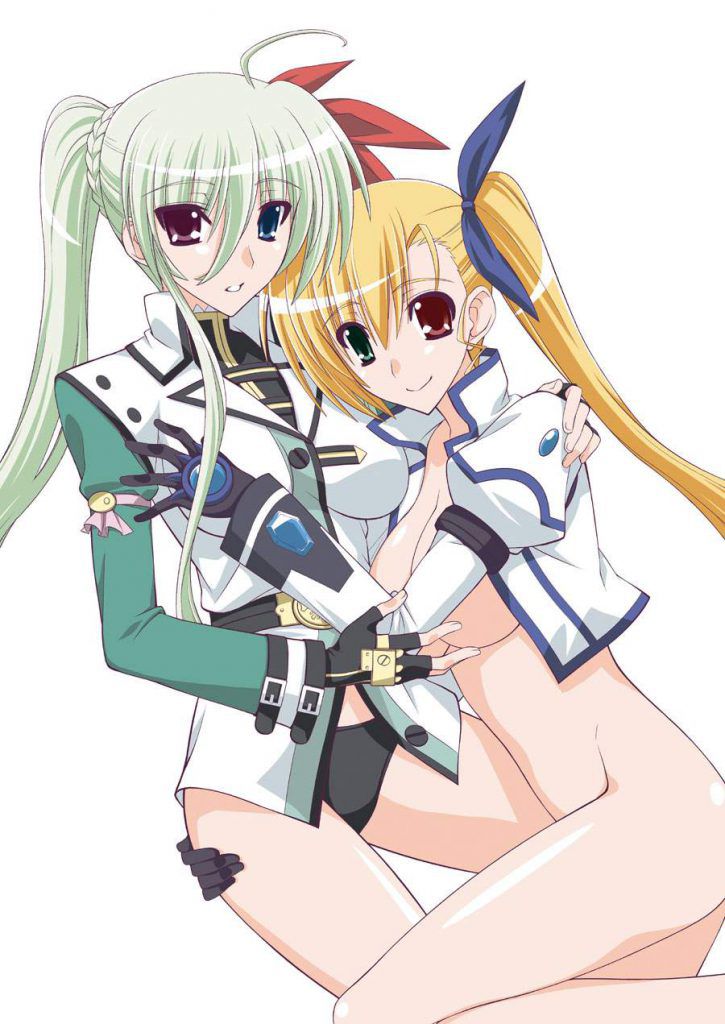 I like magical girl Lyrical Nanoha too much and no matter how much image there is, it is not enough. 12