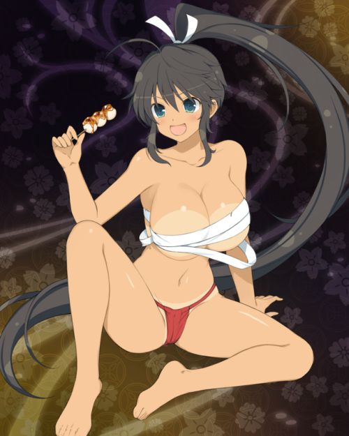 [Image large amount] lose www www if you scratch from scratching with the most erotic illustrations in Senran Kagura 30