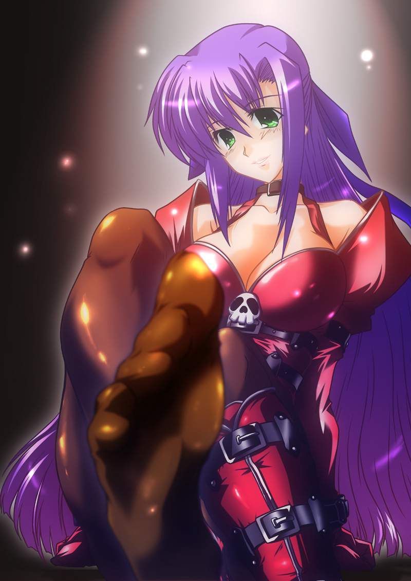 [Magical Girl Lyrical Nanoha StrikerS] Erotic image of Ginga Nakajima 13