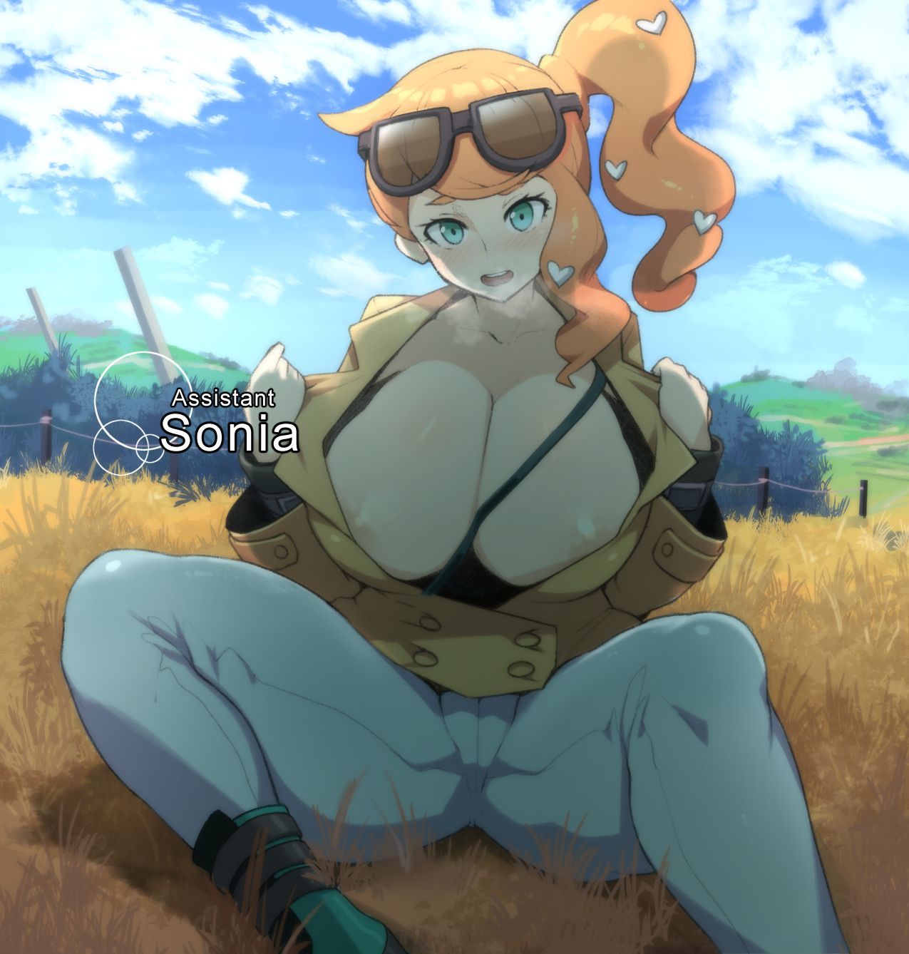 Sonia collection (pokemon sword and shield) 10