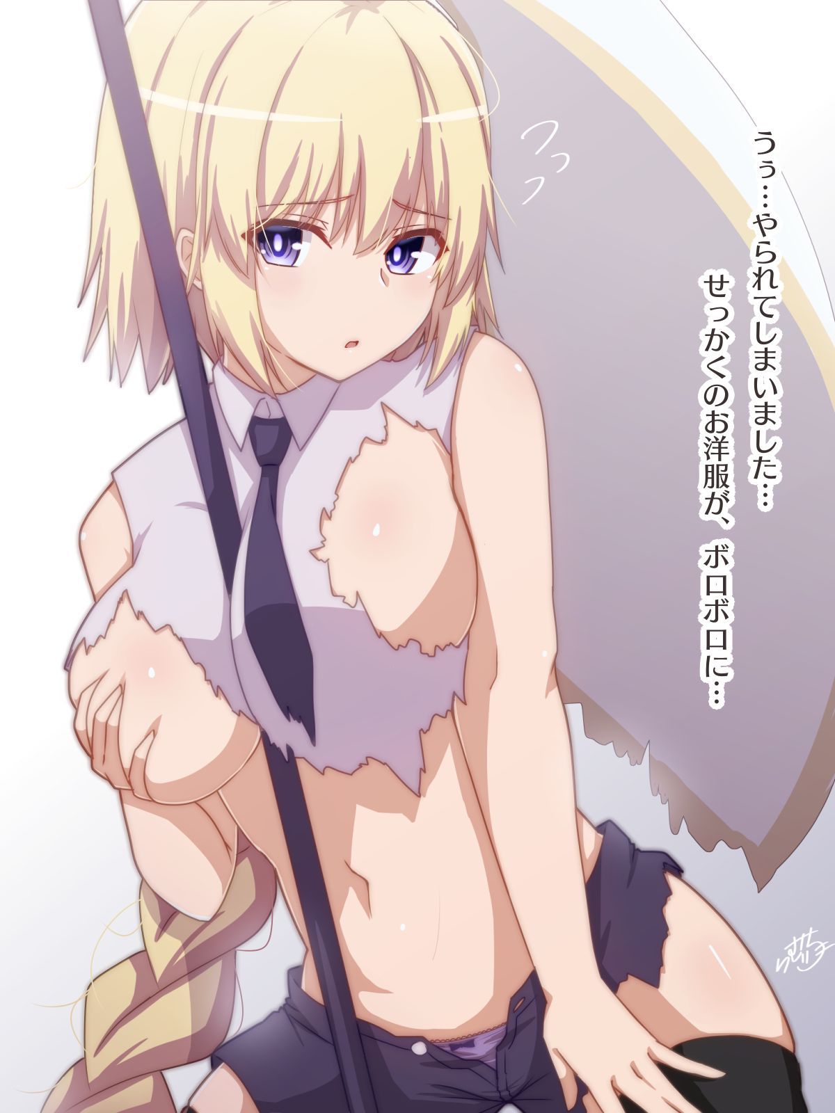 Fate Franchise Collection 293