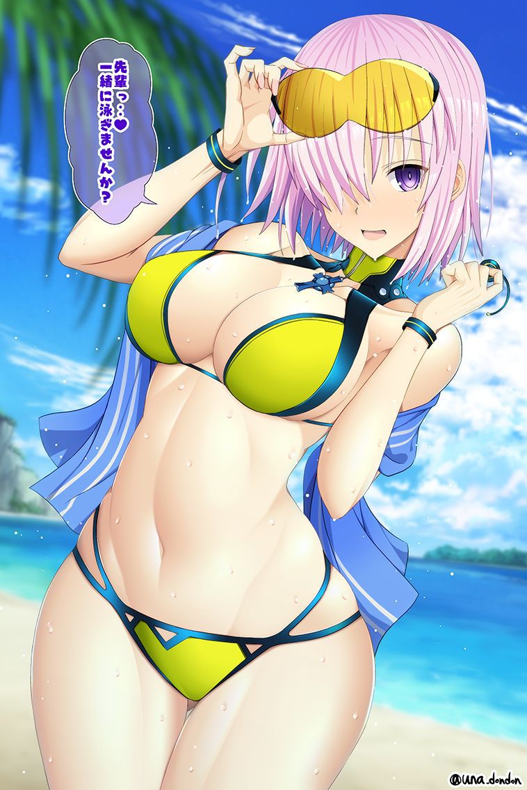 Fate Franchise Collection 682