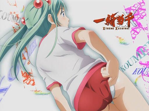 [Ikki Tosen] secondary erotic image of Zhuge Liang Koumei (Shokatsuryo Komei): anime 25