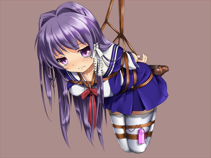 Erotic image summary of a girl who is restrained by a two-dimensional rope and is not able to move 46 sheets 35