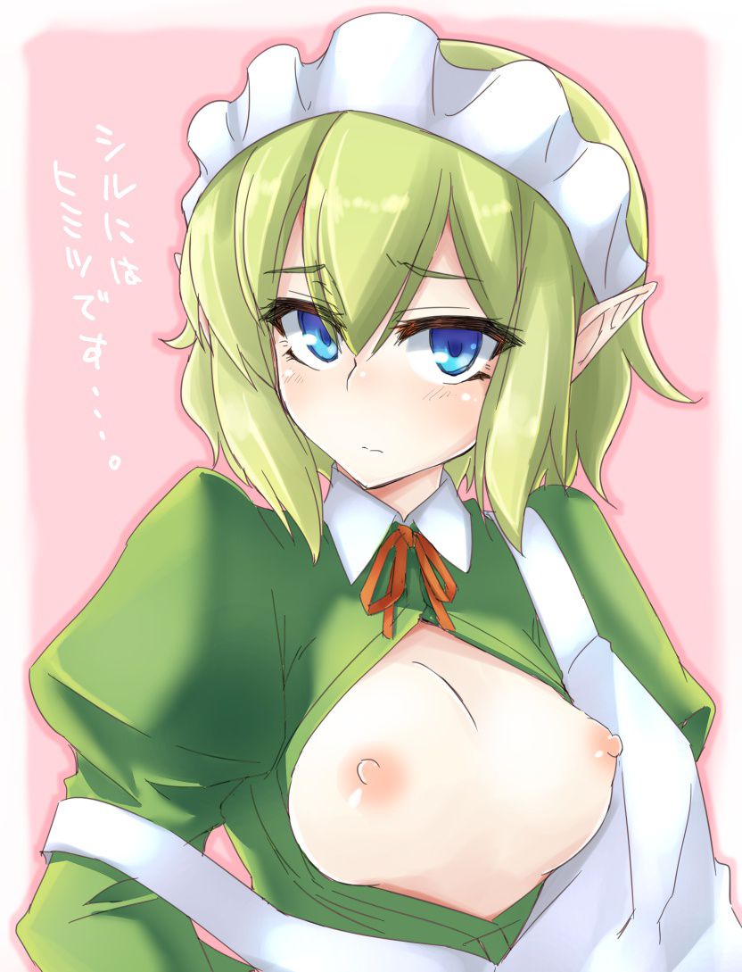 【DanMachi】The erotic image of Liu Lion of the ponkotsu cool elf! 13