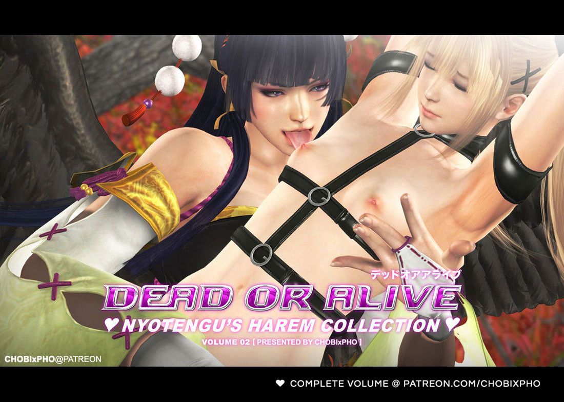 DOA / NYOTENGU'S HAREM COLLECTION (CHOBIxPHO) デッドオアアライブ 17