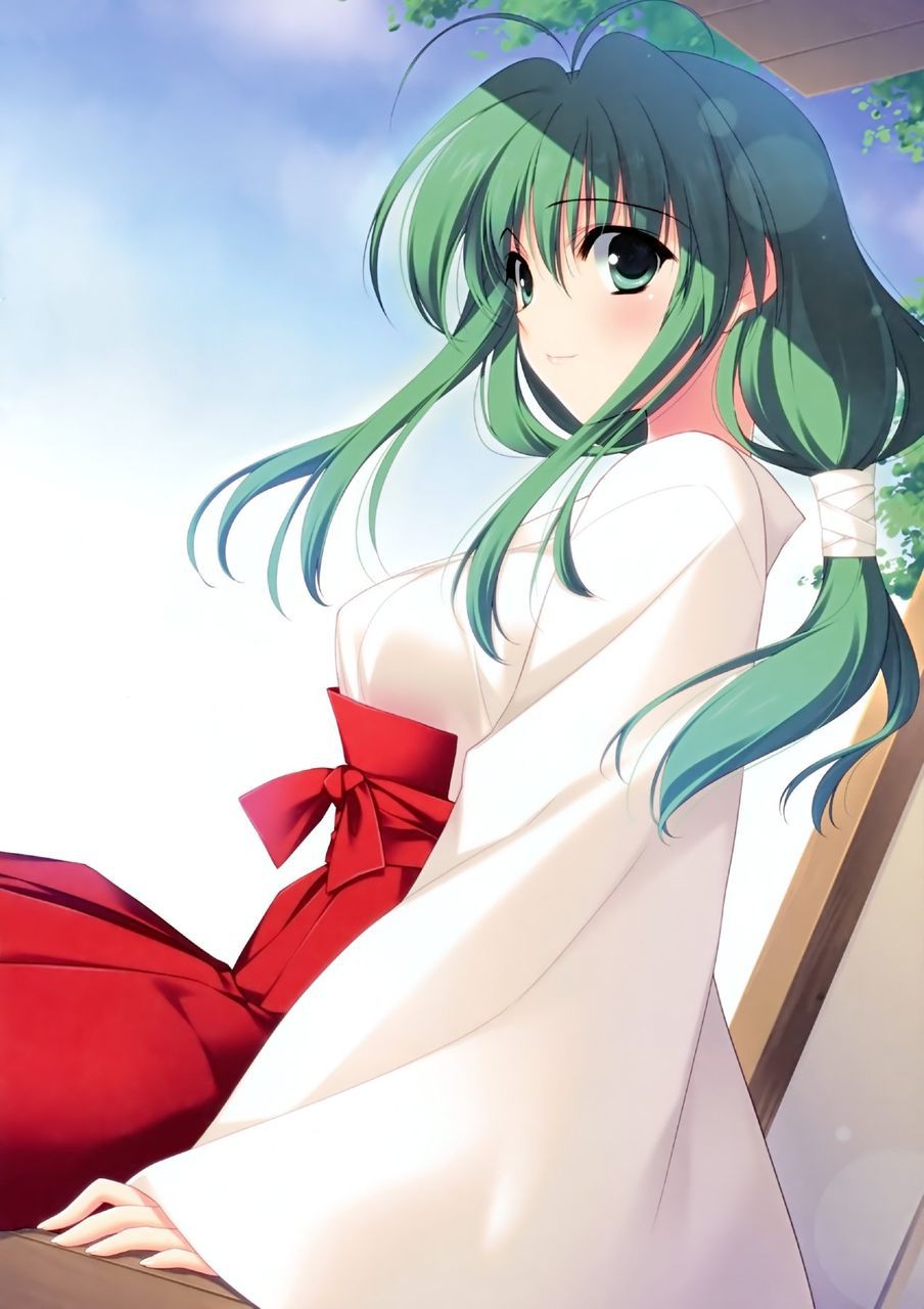 The erotic of the shrine maiden 6