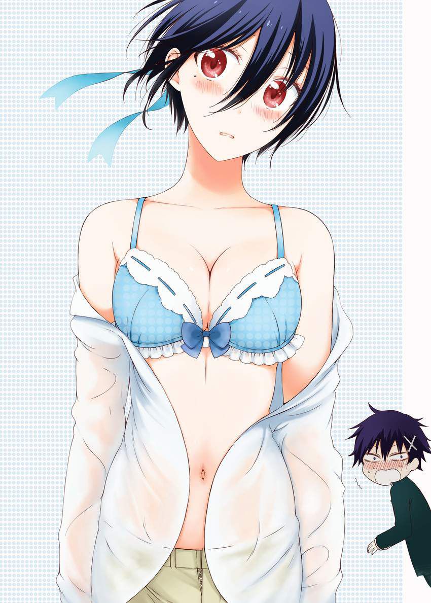 【Nisekoi】Erotic Images of Seishiro Tsugumi Shiro 45