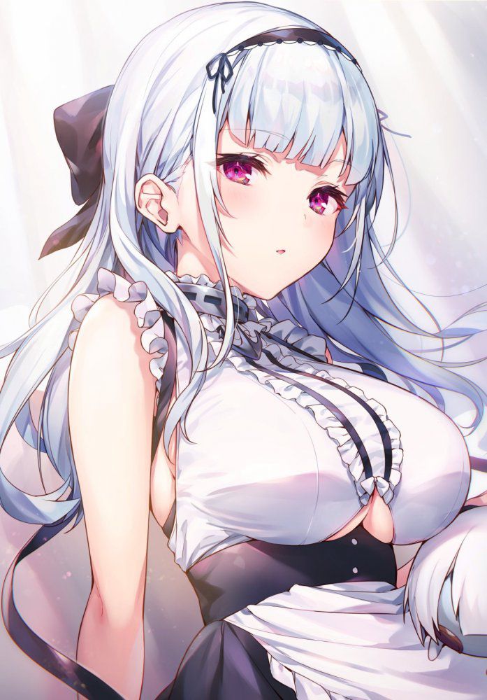 The guys who want to nu gather in the erotic image of Azur Lane! 6