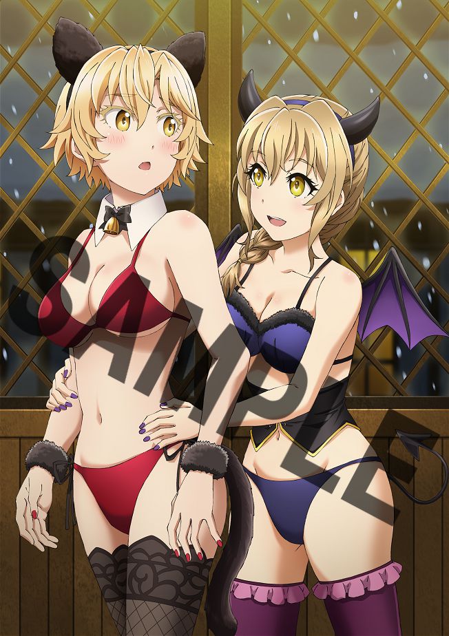 [Goblin Slayer -GOBLIN[S CROWN-] BD store benefits erotic illustrations such as naked figure 6