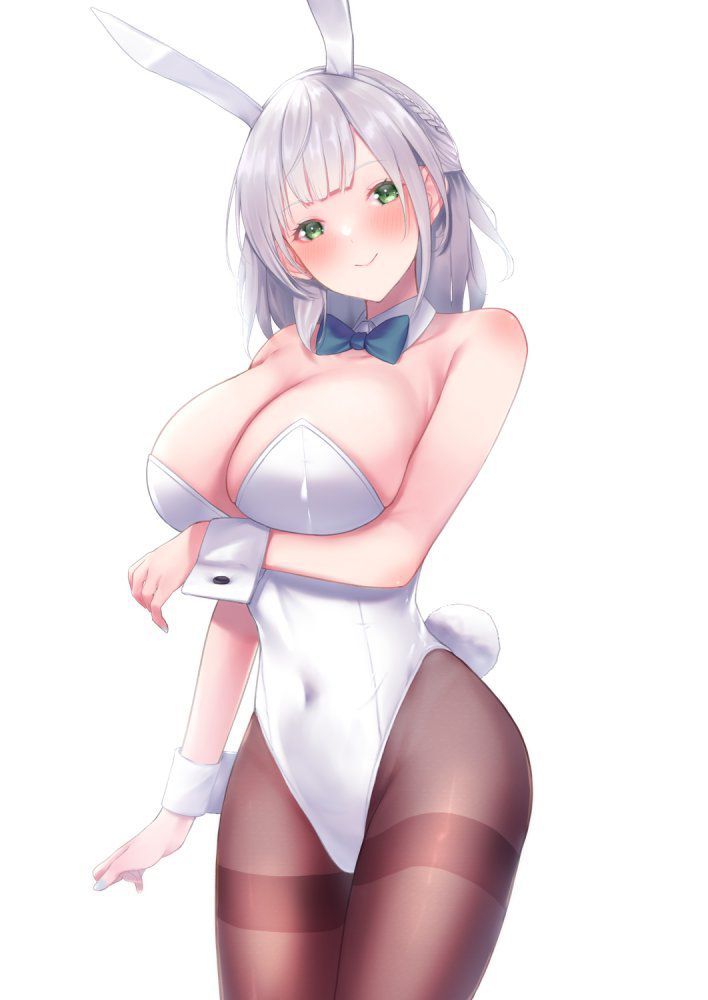 【Secondary】Bunny Girl Image Part 3 20