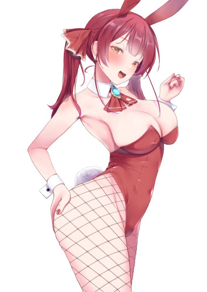 【Secondary】Bunny Girl Image Part 3 21