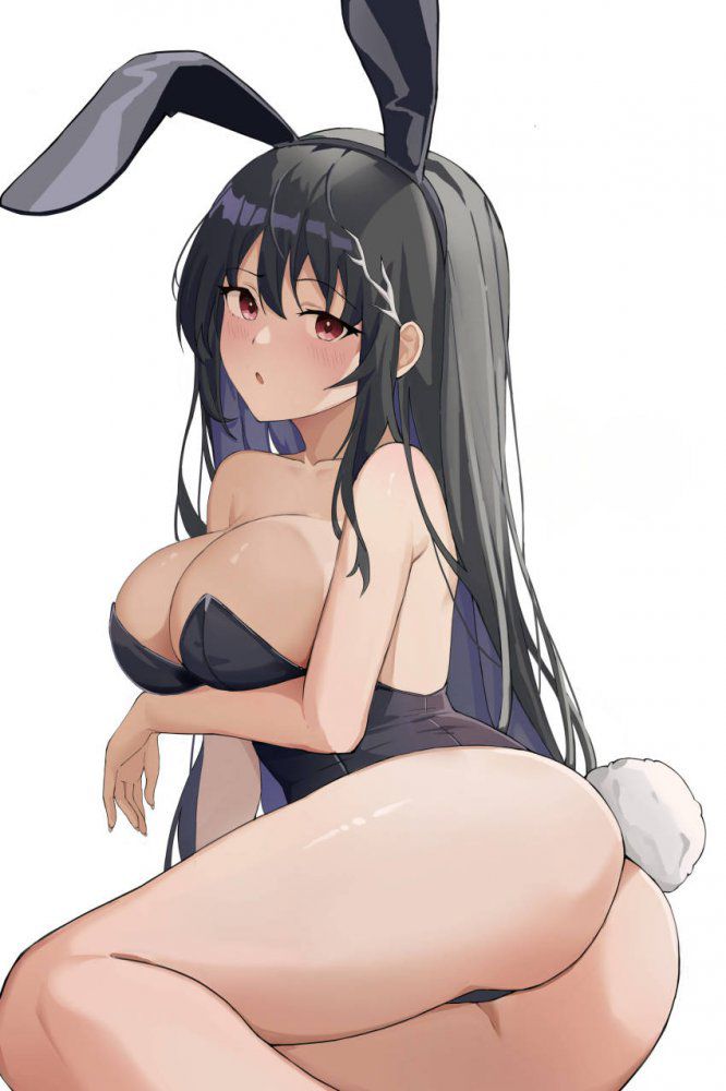 【Secondary】Bunny Girl Image Part 3 3