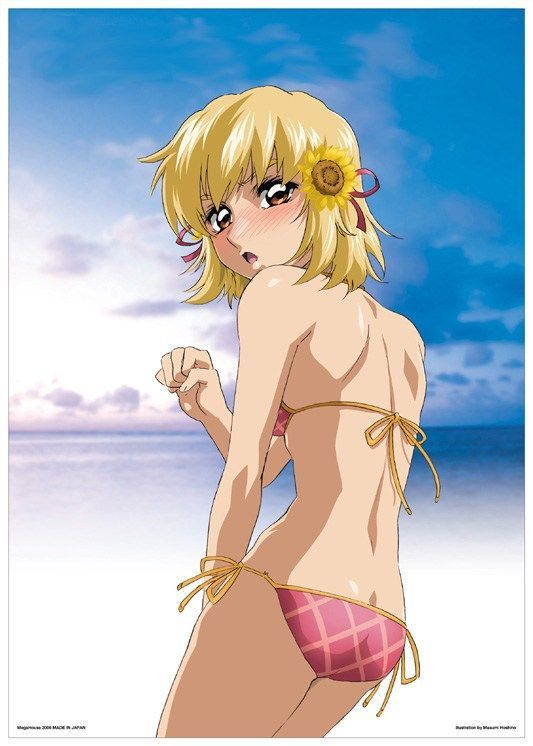 Up the erotic image of Mobile Suit Gundam SEED 12